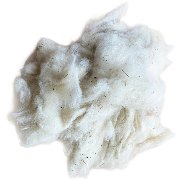 NOIL - Washed White Wensleydale Noil - Fleece