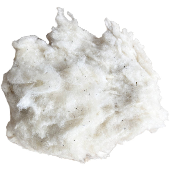 NOIL - Washed Bluefaced Leicester Noil - Fleece