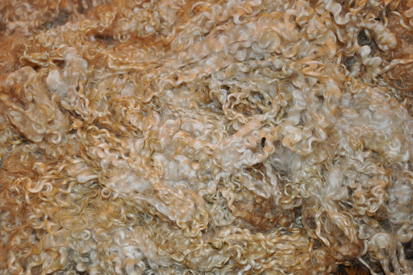 Hand spun - Tail spun Wensleydale