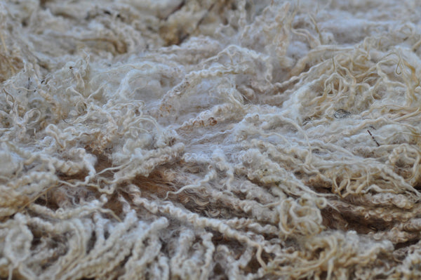 Special Offer - 500g ((17.63 oz)  Pure Bluefaced Leicester Washed and Combed Top