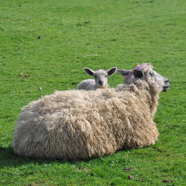 Wensleydale Aran Hat - natural