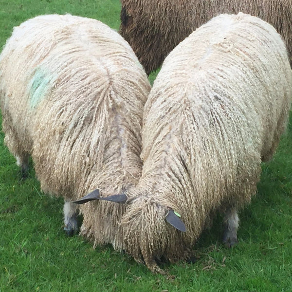 Bulky Wool 100g (3.52 oz): Rare Breed Wensleydale and Bluefaced Leicester Millhouse Blue