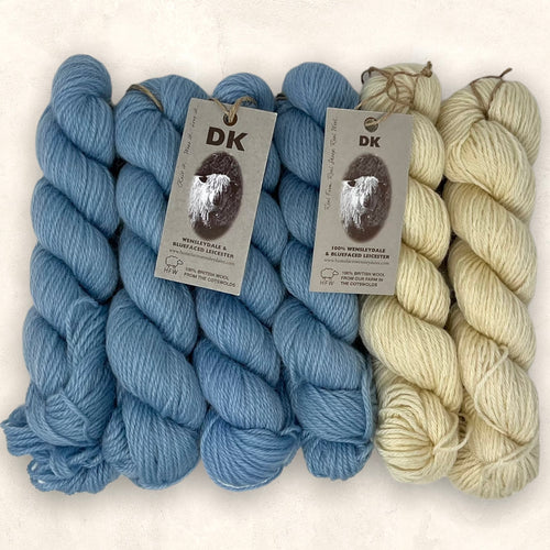 Wensleydale and Bluefaced Leicester DK (8 Ply/Light Worsted)  Burford Blue and Natural 300g (10.58oz) Special Offer