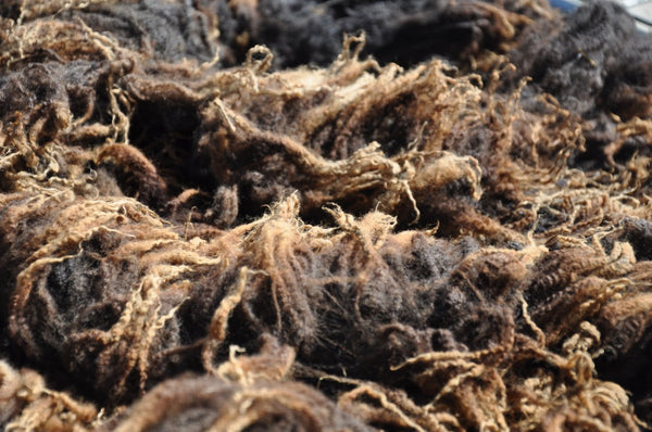 Special Offer - 500g (17.63 oz)  Pure Black Bluefaced Leicester Washed and Combed Top
