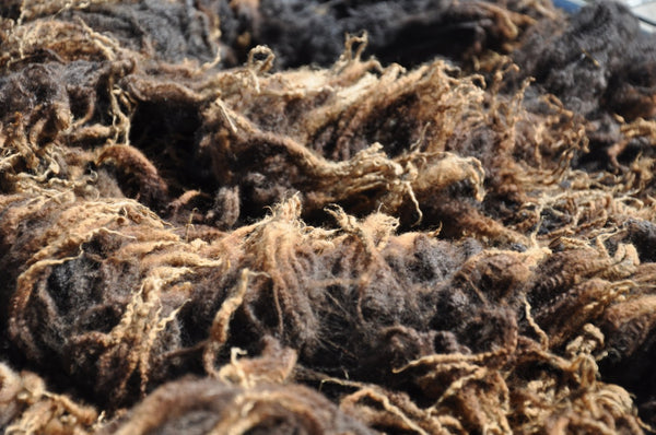 Pure Black Bluefaced Leicester Washed and Combed Top